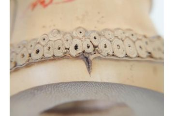 素朴な質感が味わい深い竹一重切花入(家元、花押、銘、茶道具、花瓶、花器、共箱付き)(R-071724)