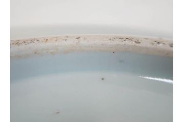 江戸期　古伊万里　染付　1尺5寸　約47cm　繊細に描かれた山水図が上質な和の雰囲気を高める大皿(和皿、和食器、一尺五寸)(R-071725)