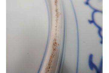 大明成化年製　古伊万里　染付　線描　花唐草　輪花型　1尺4寸　約45cm　細やかな意匠にこだわりを感じる大皿(和皿、和食器、一尺四寸)(R-071727)