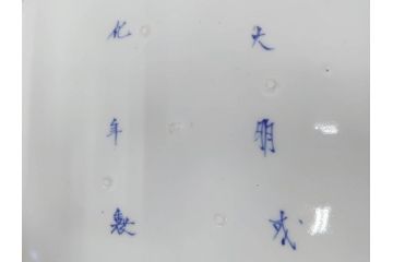 大明成化年製　古伊万里　染付　線描　花唐草　輪花型　1尺4寸　約45cm　細やかな意匠にこだわりを感じる大皿(和皿、和食器、一尺四寸)(R-071727)