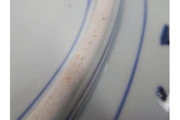 大明成化年製　古伊万里　染付　線描　花唐草　輪花型　1尺4寸　約45cm　細やかな意匠にこだわりを感じる大皿(和皿、和食器、一尺四寸)(R-071728)