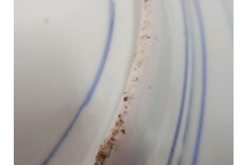 江戸〜明治　古伊万里　染付　微塵唐草文　1尺5寸　約47cm　一つ一つ丁寧に描かれた絵付けが美しい大皿(松竹梅図、和皿、和食器、一尺五寸)(R-071729)