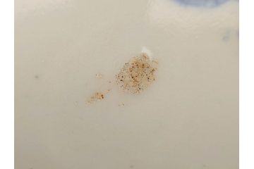 江戸〜明治　古伊万里　染付　微塵唐草文　1尺5寸　約47cm　一つ一つ丁寧に描かれた絵付けが美しい大皿(松竹梅図、和皿、和食器、一尺五寸)(R-071729)