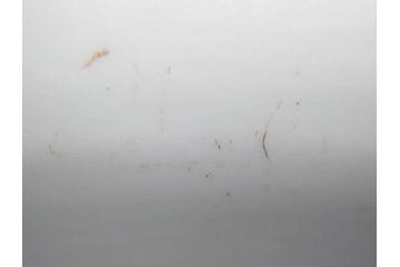 明治期　伊万里　染付　馬　川　紅葉　鶴　大胆に描かれた珍しい図柄が目を惹く手洗鉢(鉢カバー、プランターカバー、睡蓮鉢、メダカ、めだか、金魚鉢、もみじ、モミジ)(R-071739)