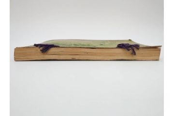 戦前　台湾総督府官房文書課(明治41年(1908年))　台湾写真帳(臺灣寫眞帖)(古本、田山宗堯)(R-071740)