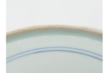 江戸期　上手物　古伊万里　染付　約21cm　6.9寸　職人による丁寧な絵付けに魅了される十二角皿2枚セット(和食器、和皿、中皿、変形皿、鳥、六寸九分)(R-071808)