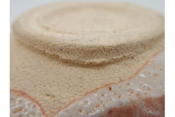 青龍洞　志野　約13cm　4.1寸　深みのある色合いが上品な和の雰囲気を高める茶碗(茶道具、花押、志埜、立花大亀、茶器、抹茶碗、和食器、共箱付き、四寸一分)(R-071813)