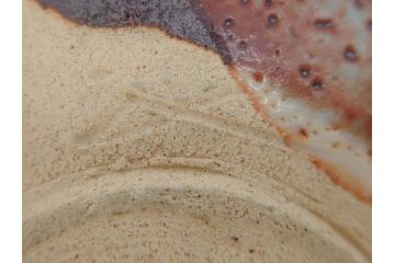 青龍洞　志野　約13cm　4.1寸　深みのある色合いが上品な和の雰囲気を高める茶碗(茶道具、花押、志埜、立花大亀、茶器、抹茶碗、和食器、共箱付き、四寸一分)(R-071813)