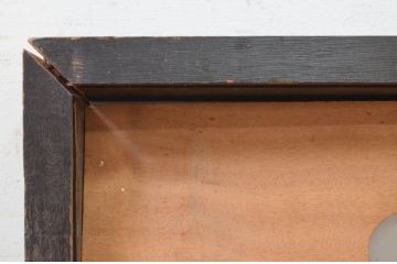 アンティーク建具　井波彫刻　振光作　躍動感ある松に鶴が美しい両面彫刻欄間1枚(明り取り、明かり取り、在銘有り)(R-072152)