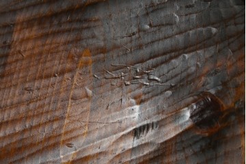 中古　指物作家　矢澤金太郎作　素朴な佇まいの中にも存在感のある椅子　(R-072206)