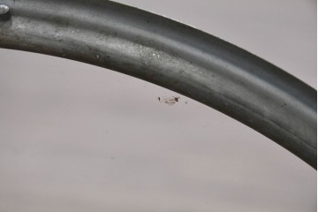 和製アンティーク　精工舎(SEIKOSHA、セイコー)　丸形　レトロなデザインが魅力的な掛け時計　(R-072236)