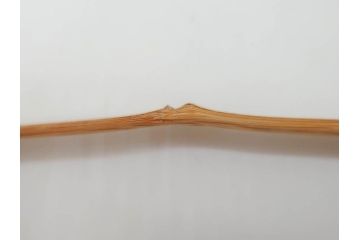利休　泪写　花押　上品な和の雰囲気溢れる茶杓(竹、筒付き、茶道具、共箱付き、外箱付き)(R-072280)