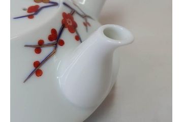 香蘭社　染錦　磁藝工房謹製　丁寧に絵付けされた鮮やかな花たちがアクセントになる茶器セット(茶器揃、急須、湯呑み5客、湯のみ、茶道具、和食器、共箱付き、磁芸工房)(R-072302)