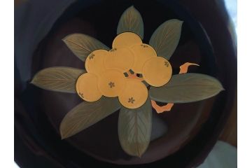 大正〜昭和初期　輪島塗　果物　蒔絵　それぞれ大胆に描かれた図柄が素敵な銘々皿5客セット(枇杷、葡萄、銀杏、石榴(柘榴)、桃、漆器、菓子器、和食器、中皿、和皿、木箱付き、袋付き)(R-072303)