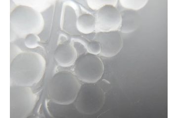 アンティーク　1920年代　レア　ルネ・ラリック(R.LALIQUE)　マスカット(葡萄)　珍しいデザインながらも取り入れやすいメニューホルダー(メニュー立て、メニュースタンド、ガラス、ギャルリーオルフェ(GALERIE ORPHEE)、案内、看板、箱付き)(R-072304)
