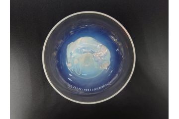 1926年　ルネ・ラリック(R.LALIQUE)　キツネ　オパルセントガラス　手彫りで作られた意匠が美しいピントレイ(ギャルリーオルフェ(GALERIE ORPHEE)、灰皿、オブジェ、アクセサリートレイ、箱付き)(R-072305)
