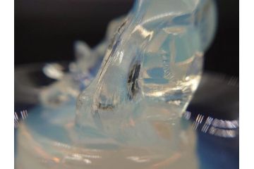 1926年　ルネ・ラリック(R.LALIQUE)　キツネ　オパルセントガラス　手彫りで作られた意匠が美しいピントレイ(ギャルリーオルフェ(GALERIE ORPHEE)、灰皿、オブジェ、アクセサリートレイ、箱付き)(R-072305)