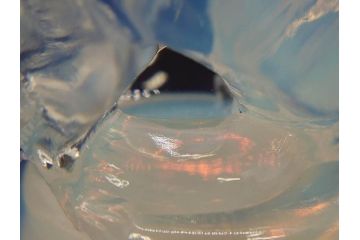 1926年　ルネ・ラリック(R.LALIQUE)　キツネ　オパルセントガラス　手彫りで作られた意匠が美しいピントレイ(ギャルリーオルフェ(GALERIE ORPHEE)、灰皿、オブジェ、アクセサリートレイ、箱付き)(R-072305)