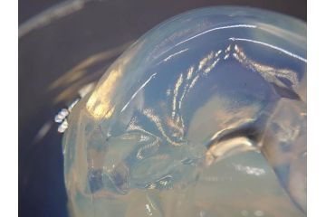 1926年　ルネ・ラリック(R.LALIQUE)　キツネ　オパルセントガラス　手彫りで作られた意匠が美しいピントレイ(ギャルリーオルフェ(GALERIE ORPHEE)、灰皿、オブジェ、アクセサリートレイ、箱付き)(R-072305)