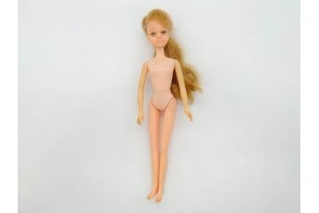 昭和　当時物　タカラ　リカちゃん　アイデアル　タミーちゃん　チーちゃんのホームセットデラックス　多数の服や小物・タンス・ベット付き　人形9体まとめてセット(ロコたん、中島製作所、TAKARA、IDEAL TOY CORP、Tammy、BS-12、着せ替え人形、日本製)(R-072478)