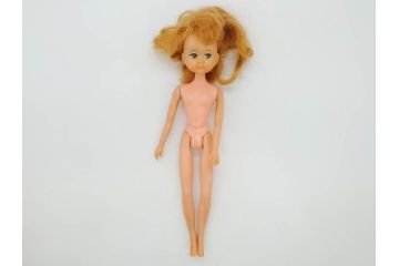 昭和　当時物　タカラ　リカちゃん　アイデアル　タミーちゃん　チーちゃんのホームセットデラックス　多数の服や小物・タンス・ベット付き　人形9体まとめてセット(ロコたん、中島製作所、TAKARA、IDEAL TOY CORP、Tammy、BS-12、着せ替え人形、日本製)(R-072478)
