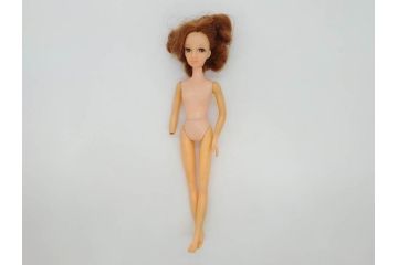 昭和　当時物　タカラ　リカちゃん　アイデアル　タミーちゃん　チーちゃんのホームセットデラックス　多数の服や小物・タンス・ベット付き　人形9体まとめてセット(ロコたん、中島製作所、TAKARA、IDEAL TOY CORP、Tammy、BS-12、着せ替え人形、日本製)(R-072478)