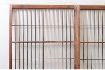 アンティーク建具　レトロな空間を演出する格子入り障子戸2枚セット(引き戸、格子戸、格子帯戸)(R-072514)