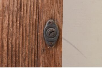 アンティーク建具　どこか懐かしい雰囲気を感じるガラス戸1枚(引き戸)(R-072536)