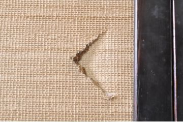 アンティーク建具　2Wayで楽しめる!懐かしい雰囲気の格子戸・ふすま戸の4枚セット(引き戸、ガラス帯戸)(R-072917)