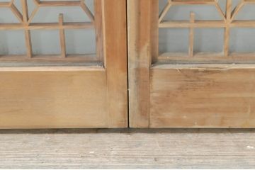 ビンテージ建具　希少　両面ガラス　迫力ある虎の彫刻入り書院戸2枚セット(窓、引き戸、ガラス戸、ヴィンテージ)(R-072947)