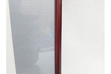 日野日出志　カラー　平成11年5月日(1999年5月)　日付入り　イラスト&直筆サイン色紙(水彩、漫画)(R-073020)