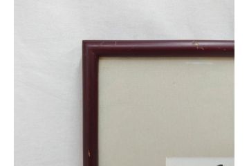 倉田よしみ　味いちもんめ　1999年5月5日(平成11年5月)　日付入り　イラスト&直筆サイン色紙(水彩、カラーイラスト、漫画)(R-073021)