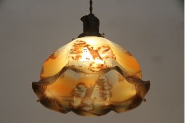 フランスアンティーク　ノスタルジックな雰囲気を醸し出す絵画のようなペンダントライト(吊り下げ照明、天井照明、シェード)(R-073087)