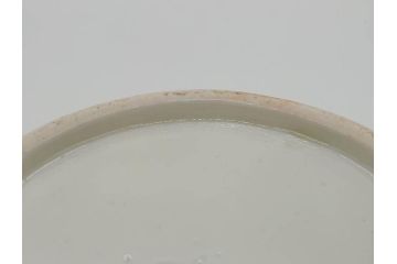幕末〜明治　古伊万里　色絵　金彩　染付　鶴　約23cm　7.5寸　繊細に描かれた絵柄にこだわりを感じる蓋物(大平、深鉢、深皿、和食器、七寸五分)(R-073101)