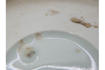 江戸後期〜幕末　伊万里　染付　山水図　約16cm　5.1寸　金の縁と爽やかな藍色が魅力のなます皿3枚セット(中皿、深皿、和皿、和食器、五寸一分)(R-073104)