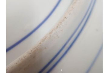 太明成化年製　古伊万里　染付　蛸唐草文　松竹梅図　1尺5寸皿　約46cm　繊細な美しい絵付けに魅了される大皿(一尺五寸、和食器、和皿)(R-073179)