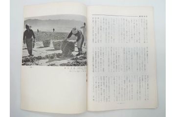 昭和30年〜31年(1955年〜1956年)　明星　第一銀行　社内報6冊セット(1号〜5号・10号)　長谷川潔　文祥堂(エッチング、果物、花、花瓶、社内広報、冊子)(R-073349)