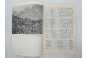 昭和35年〜36年(1960年〜1961年)　明星　第一銀行　社内報15冊セット(32号〜41号(32号×2・34号×2・38号×2・39号×3)　ルノアール　ピカソ　パウル・クレー(デッサン、少女、女の顔、洗濯する女たち、小さな黄色い家、ベールの婦人、笛吹く牧神、俳句、詩、短歌、社内広報、冊子)(R-073351)