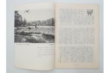 昭和35年〜36年(1960年〜1961年)　明星　第一銀行　社内報15冊セット(32号〜41号(32号×2・34号×2・38号×2・39号×3)　ルノアール　ピカソ　パウル・クレー(デッサン、少女、女の顔、洗濯する女たち、小さな黄色い家、ベールの婦人、笛吹く牧神、俳句、詩、短歌、社内広報、冊子)(R-073351)