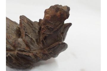 時代物　唐木台座　共箱付き　造形美に目を奪われる鑑賞石(中国古玩、漢詩、盆石、文人、唐物、置物、ディスプレイ、台座付き)(R-073365)