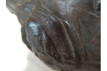 時代物　唐木台座　共箱付き　造形美に目を奪われる鑑賞石(中国古玩、漢詩、盆石、文人、唐物、置物、ディスプレイ、台座付き)(R-073365)