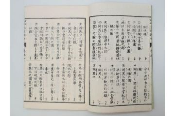 和洋建築新雛形　亀田吉郎平著　精華堂　全六巻(古書、和本、設計、図面、工匠、大工、資料)(R-073367)