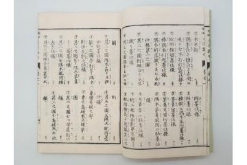 和洋建築新雛形　亀田吉郎平著　精華堂　全六巻(古書、和本、設計、図面、工匠、大工、資料)(R-073367)