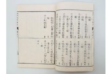 和洋建築新雛形　亀田吉郎平著　精華堂　全六巻(古書、和本、設計、図面、工匠、大工、資料)(R-073367)