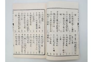 和洋建築新雛形　亀田吉郎平著　精華堂　全六巻(古書、和本、設計、図面、工匠、大工、資料)(R-073367)