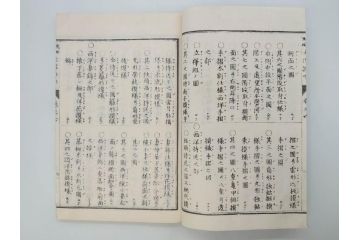 和洋建築新雛形　亀田吉郎平著　精華堂　全六巻(古書、和本、設計、図面、工匠、大工、資料)(R-073367)