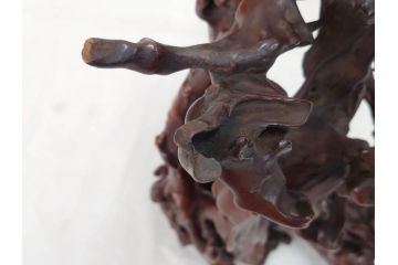 隅々まで施された意匠が美しい天然木黄楊卓(中国、根木台、根卓、花台、唐木、飾り台、高卓、箱付き)(R-073371)