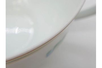 フランス　HERMES(エルメス)　トゥカン　大胆かつ繊細に描かれた鳥たちが華やかな雰囲気を醸し出すトリオセット(カップ&ソーサー、プレート、皿、C&S、洋食器)(R-073374)