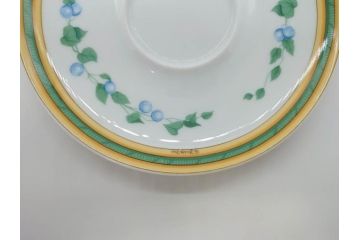 フランス　HERMES(エルメス)　トゥカン　大胆かつ繊細に描かれた鳥たちが華やかな雰囲気を醸し出すトリオセット(カップ&ソーサー、プレート、皿、C&S、洋食器)(R-073374)
