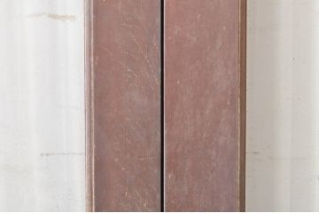 アンティーク建具　上手物!!!　腰板一枚板　昔懐かしいレトロな雰囲気漂う両開きドア(親子ドア)1対2枚セット (木製扉、玄関ドア)(R-073450)